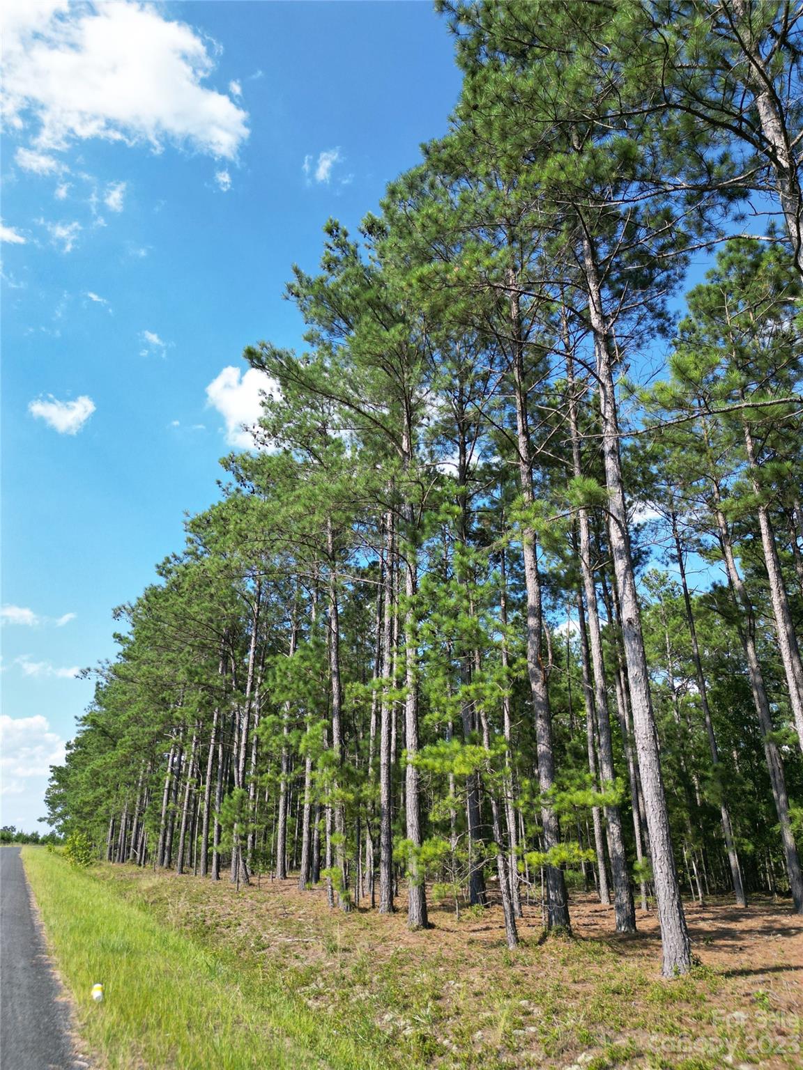 Tbd Hightower Road Morven, NC 28119 - Photo 18 of 20 a view of a large yard with large trees