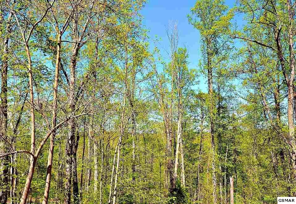 1636 Lamons Loop, Unit ABEARTRAX Sevierville, TN 37876 - Photo 24 of 24 Gallery Image 24