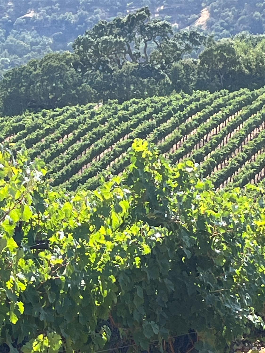 4060 Monticello Road Napa, CA 94558 - Photo 21 of 54