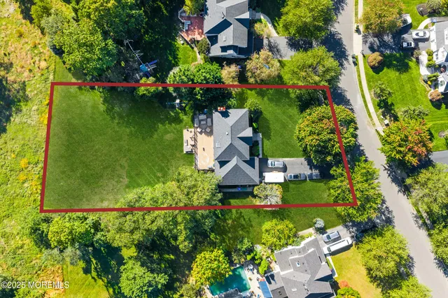 a view of a flower in a garden