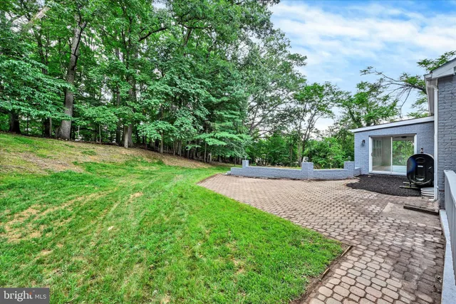a view of a yard with plants and trees