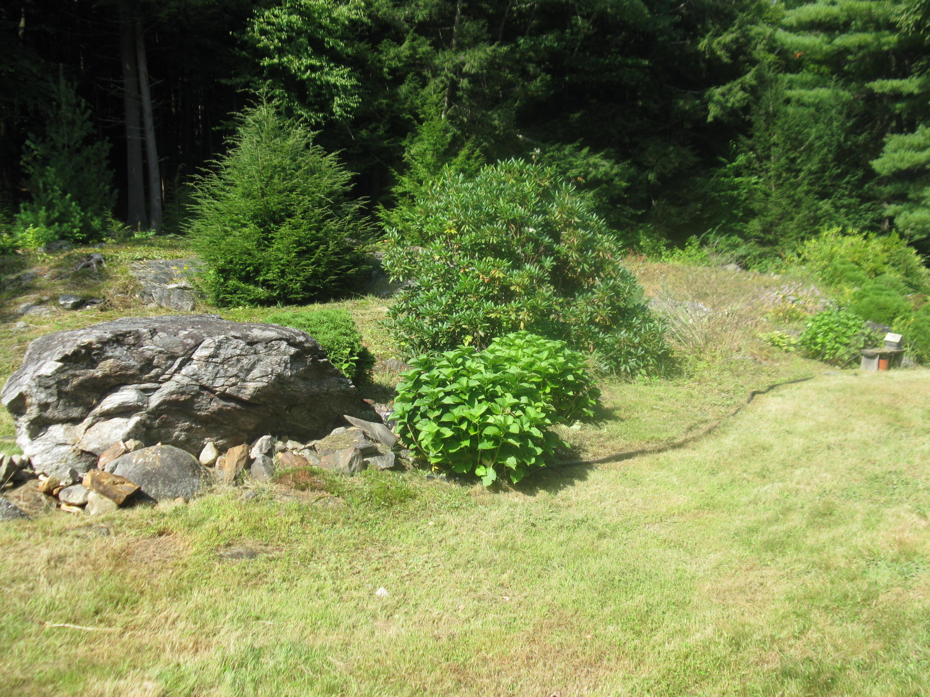 669 Main Street Springvale, ME 04083 - Photo 13 of 24 View of yard from Sun room