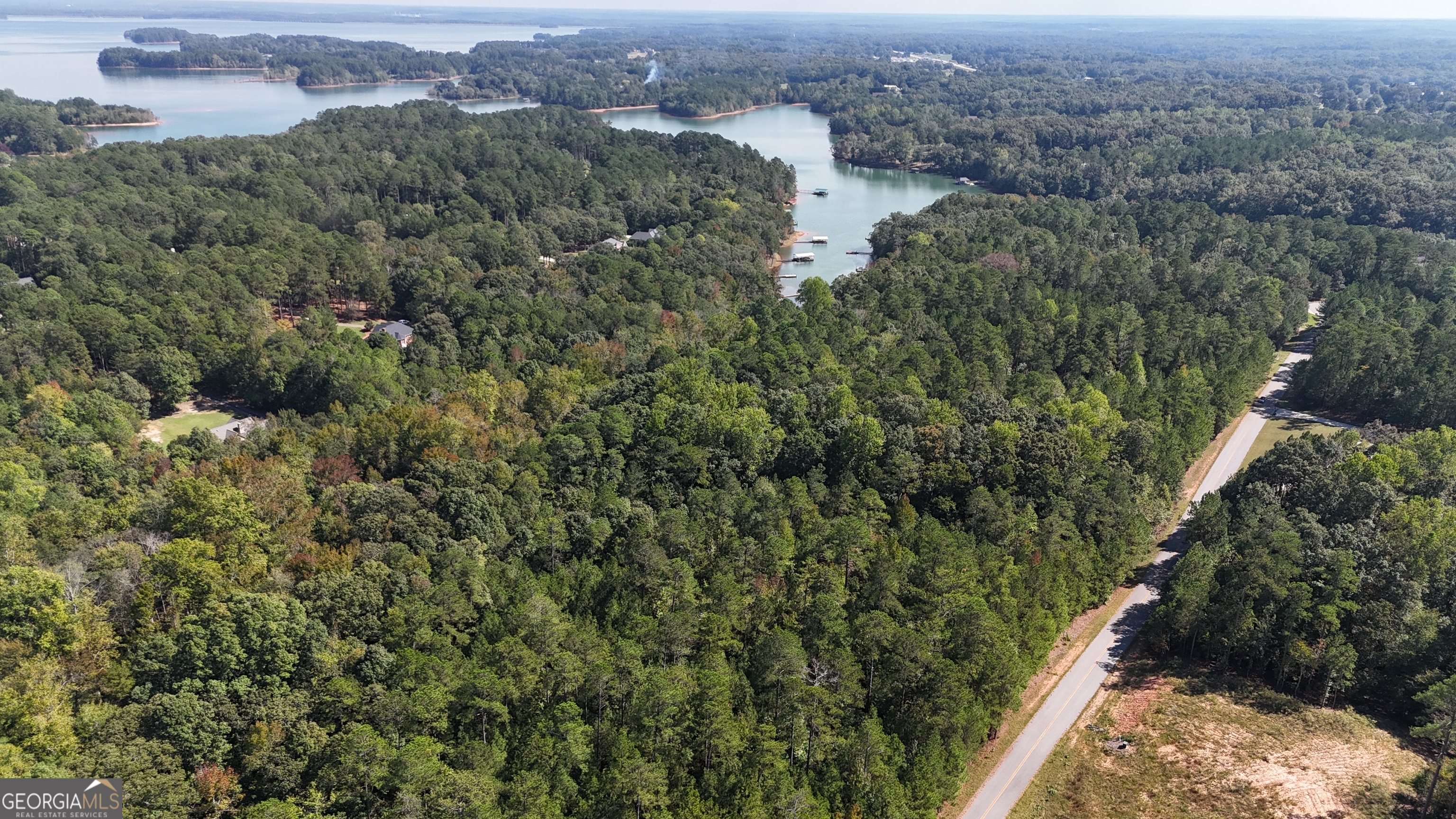 0 Melody Point Hartwell, GA 30643 - Photo 1 of 11 an aerial view of residential house with outdoor space and trees all around