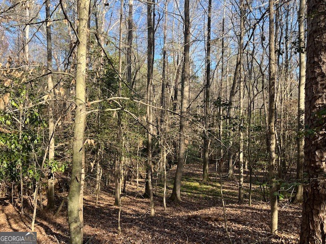 0 Melody Point Hartwell, GA 30643 - Photo 11 of 11 a backyard of a house with lots of trees