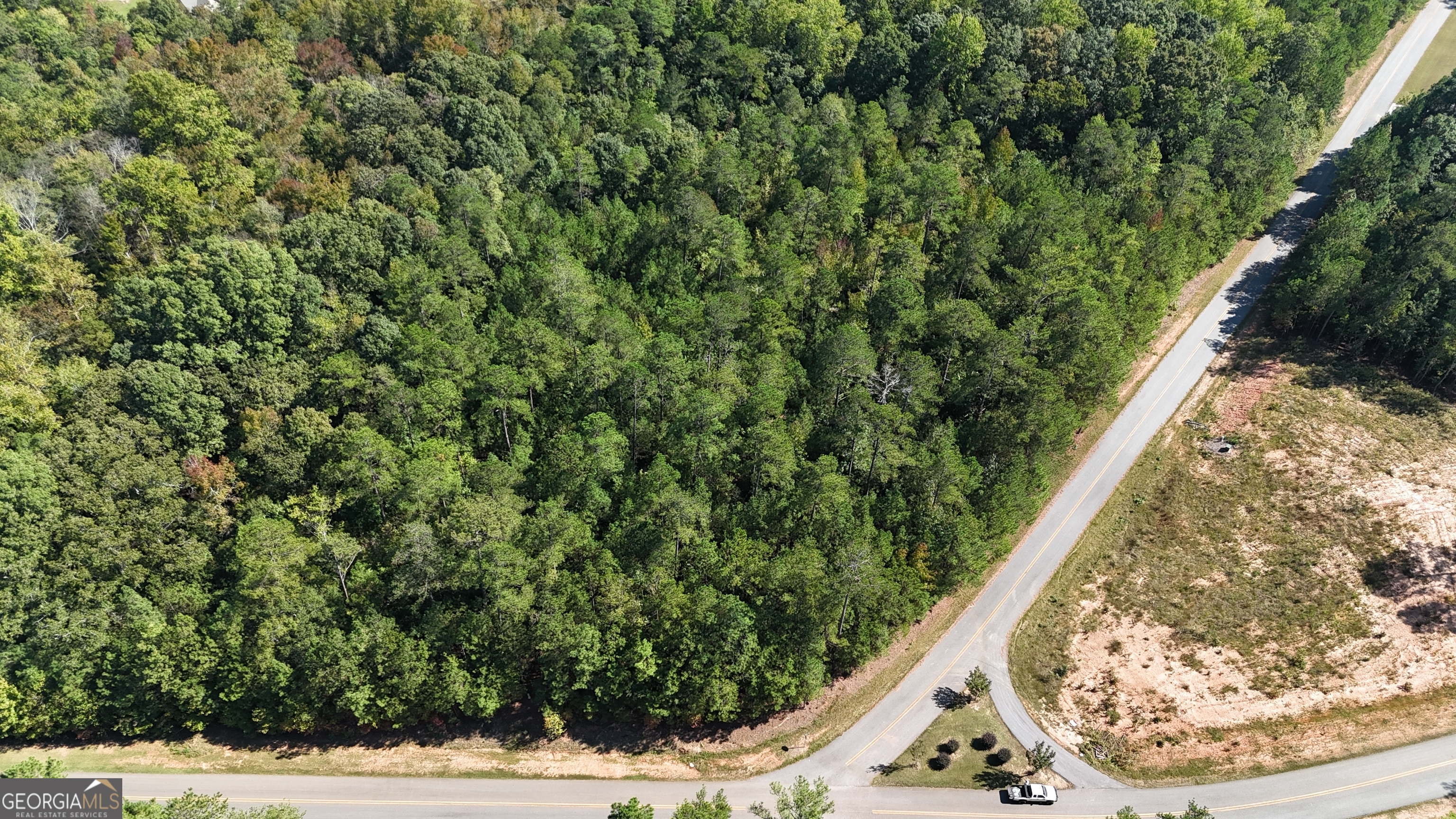 0 Melody Point Hartwell, GA 30643 - Photo 3 of 11 a view of a yard with a fountain