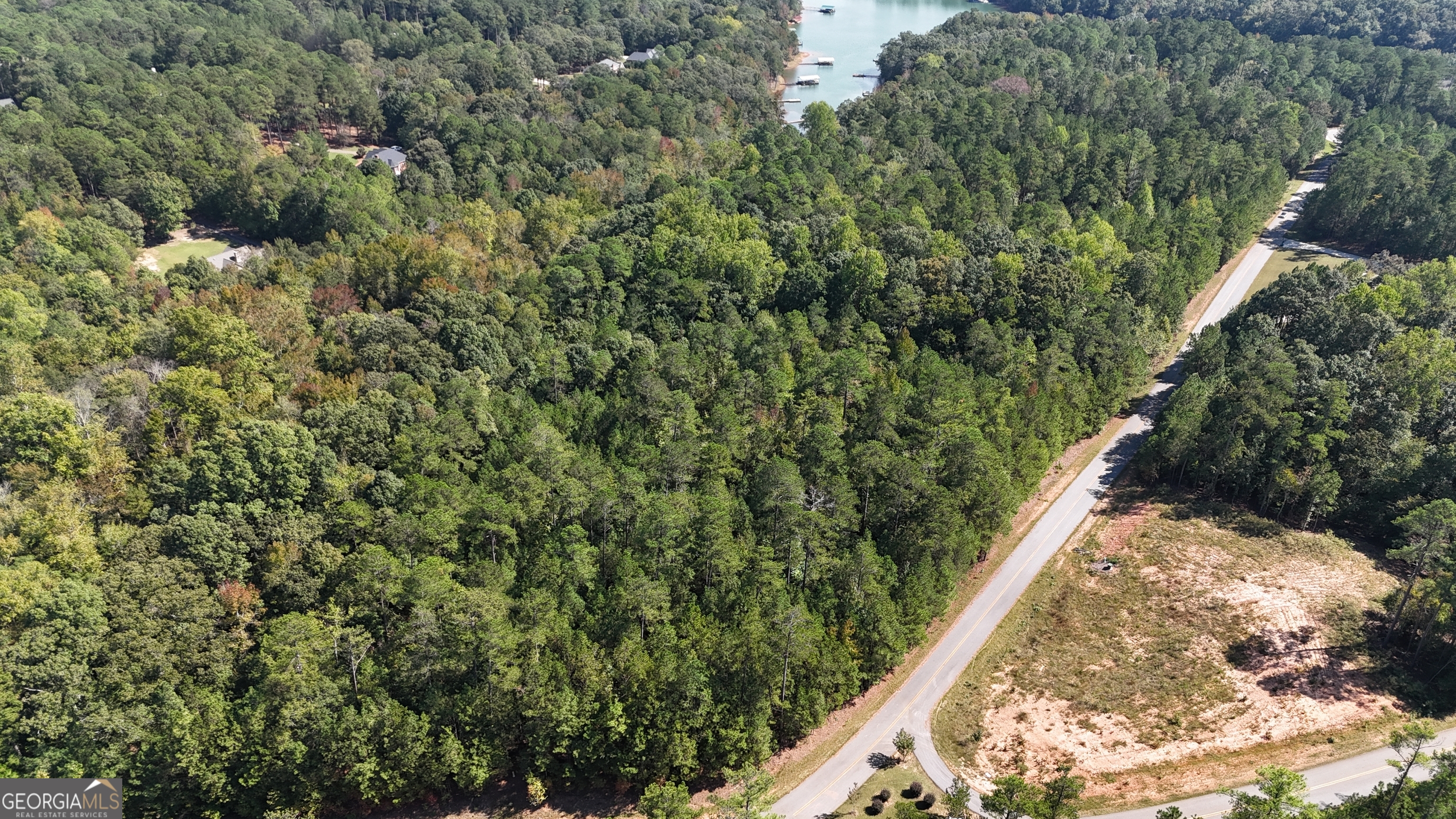 0 Melody Point Hartwell, GA 30643 - Photo 4 of 11 a view of a yard with plants