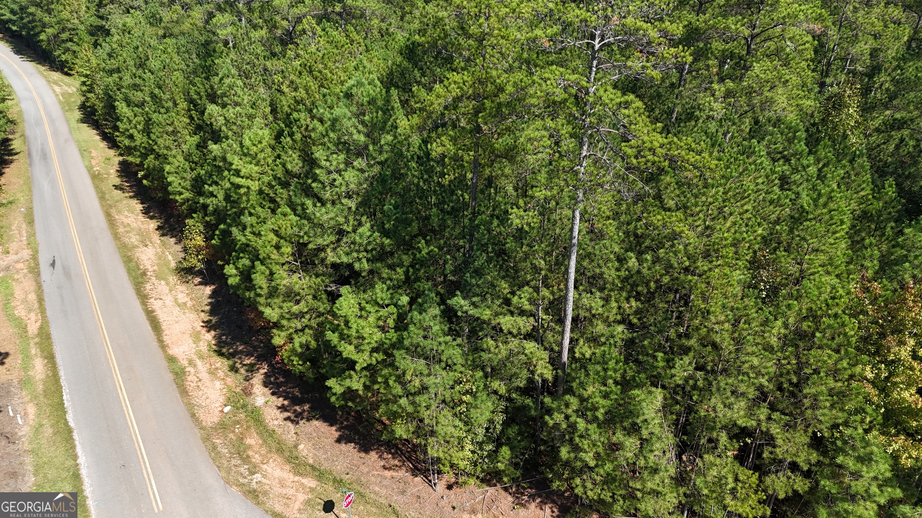 0 Melody Point Hartwell, GA 30643 - Photo 5 of 11 a view of a yard with plants