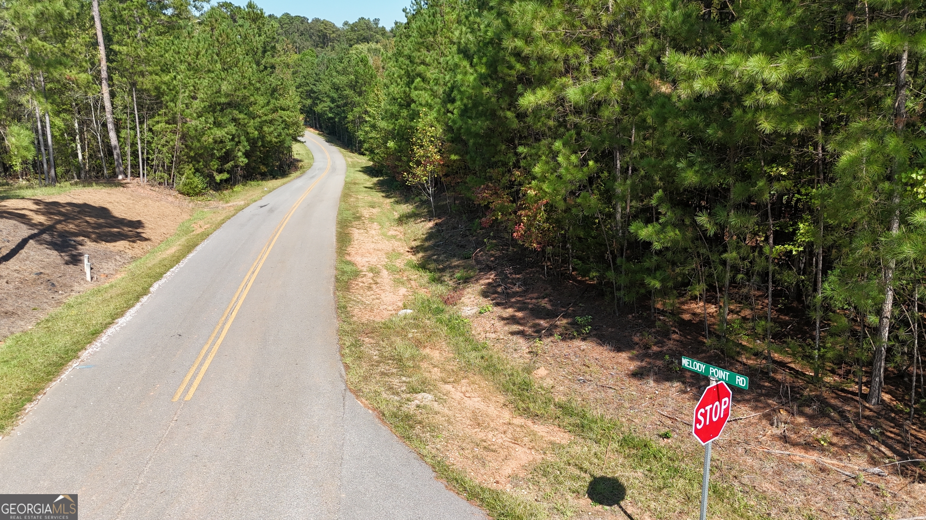 0 Melody Point Hartwell, GA 30643 - Photo 6 of 11 a view of a park with large trees