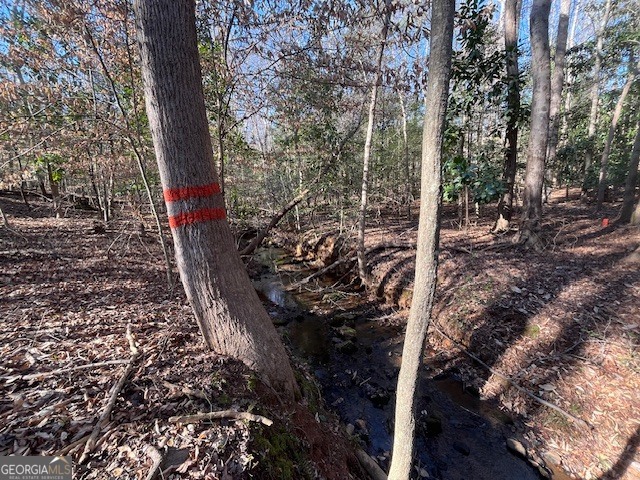 0 Melody Point Hartwell, GA 30643 - Photo 8 of 11 a view of a pathway to a yard