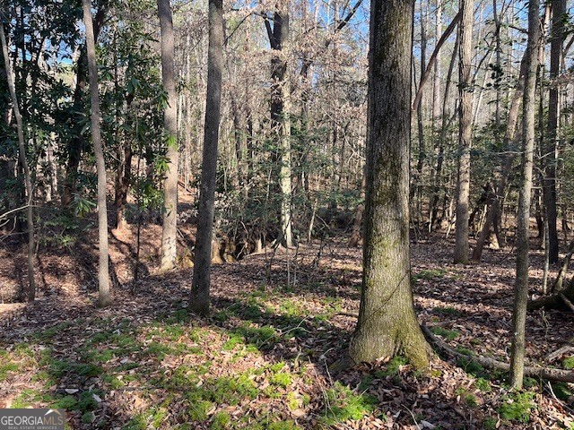 0 Melody Point Hartwell, GA 30643 - Photo 9 of 11 a view of a yard with trees