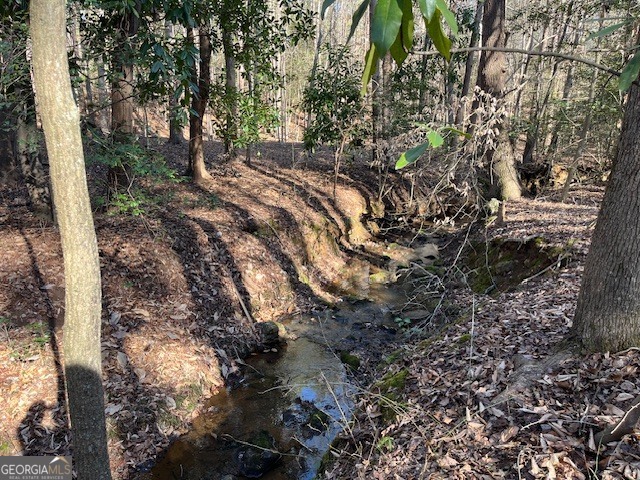 0 Melody Point Hartwell, GA 30643 - Photo 10 of 11 a view of a forest with a tree