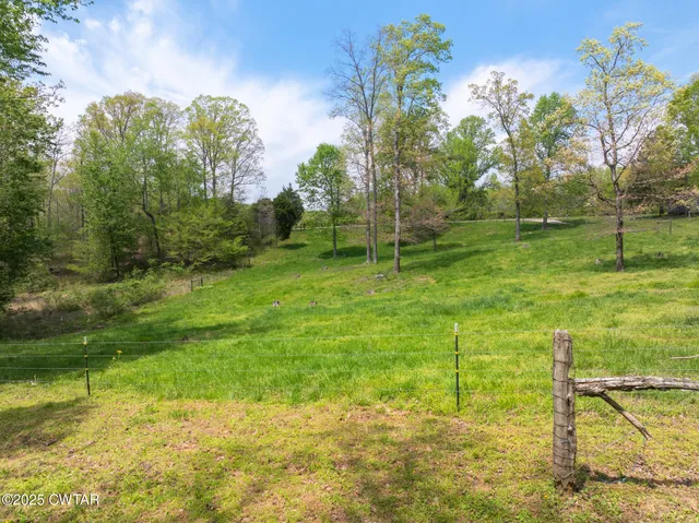 a view of a green field with lots of bushes
