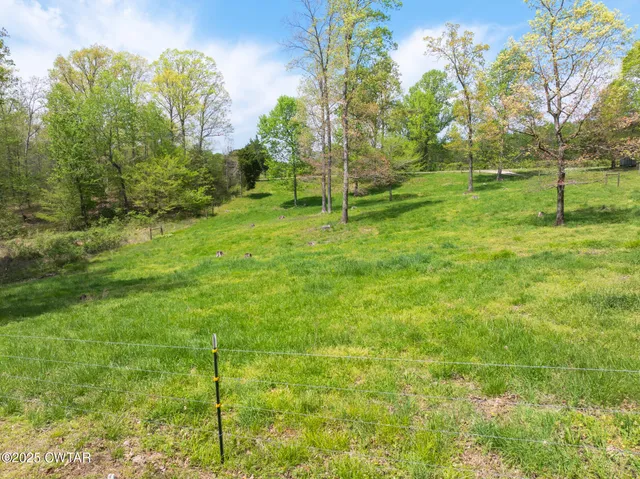a backyard of a house with lots of green space