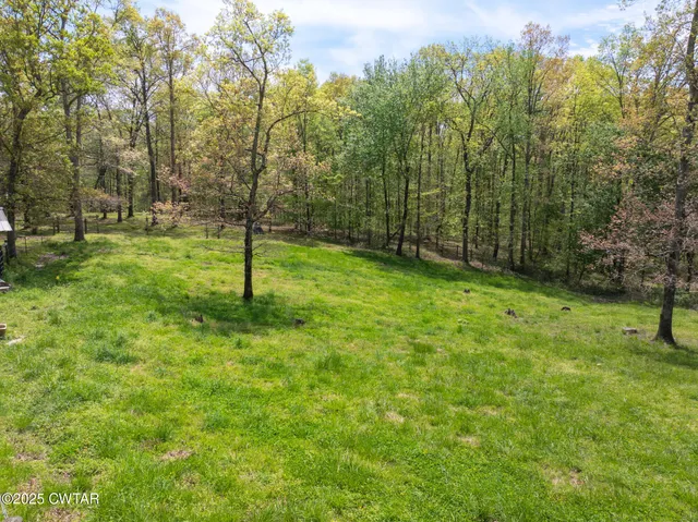 a view of a garden with a lake