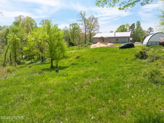 a view of a field of grass and trees
