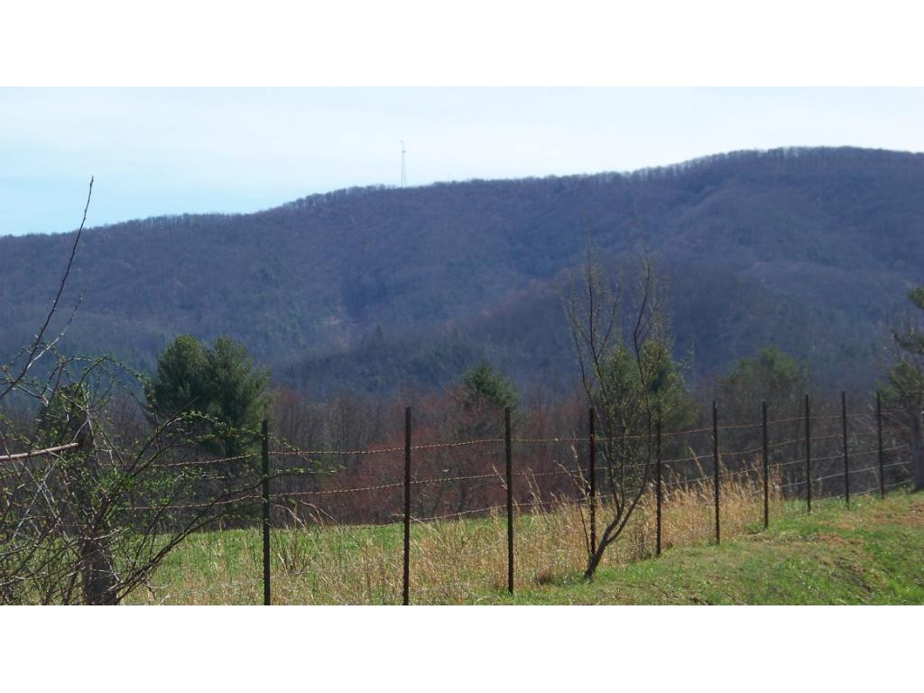 1090 Reece Hill Road Mountain City, TN 37683 - Photo 2 of 34 MOUNTAIN VIEWS
