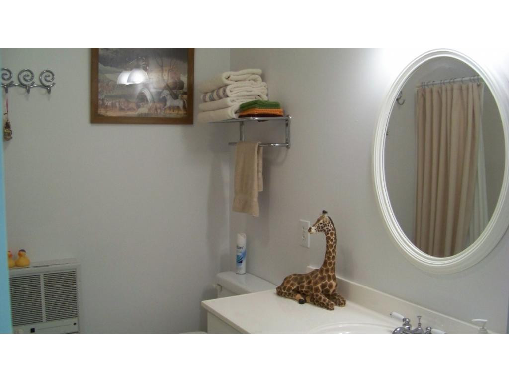 1090 Reece Hill Road Mountain City, TN 37683 - Photo 21 of 34 BATHROOM