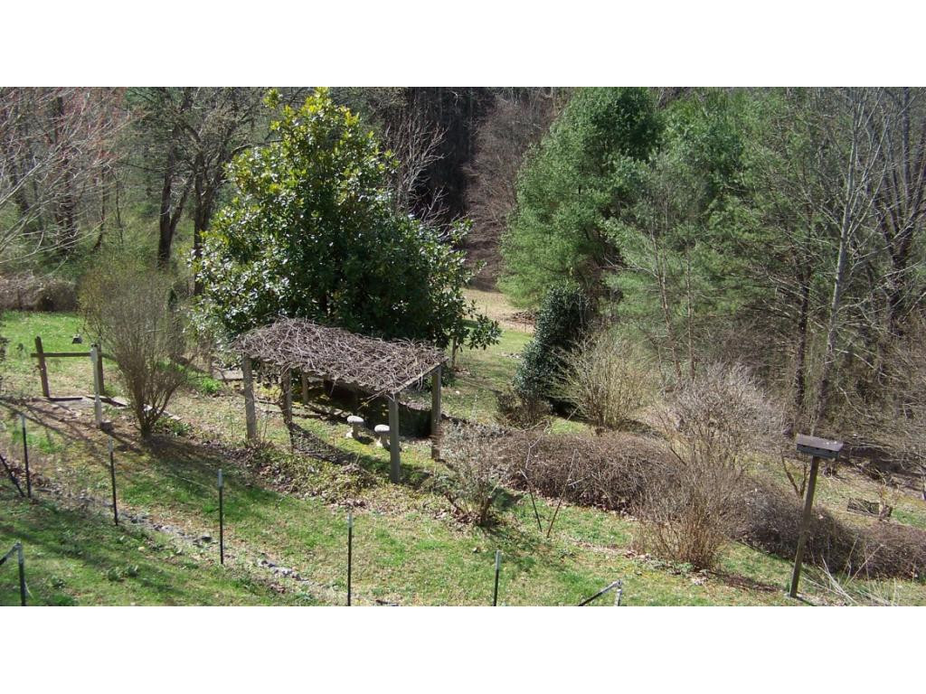 1090 Reece Hill Road Mountain City, TN 37683 - Photo 31 of 34 GARDEN AREA AND 102 ACRES