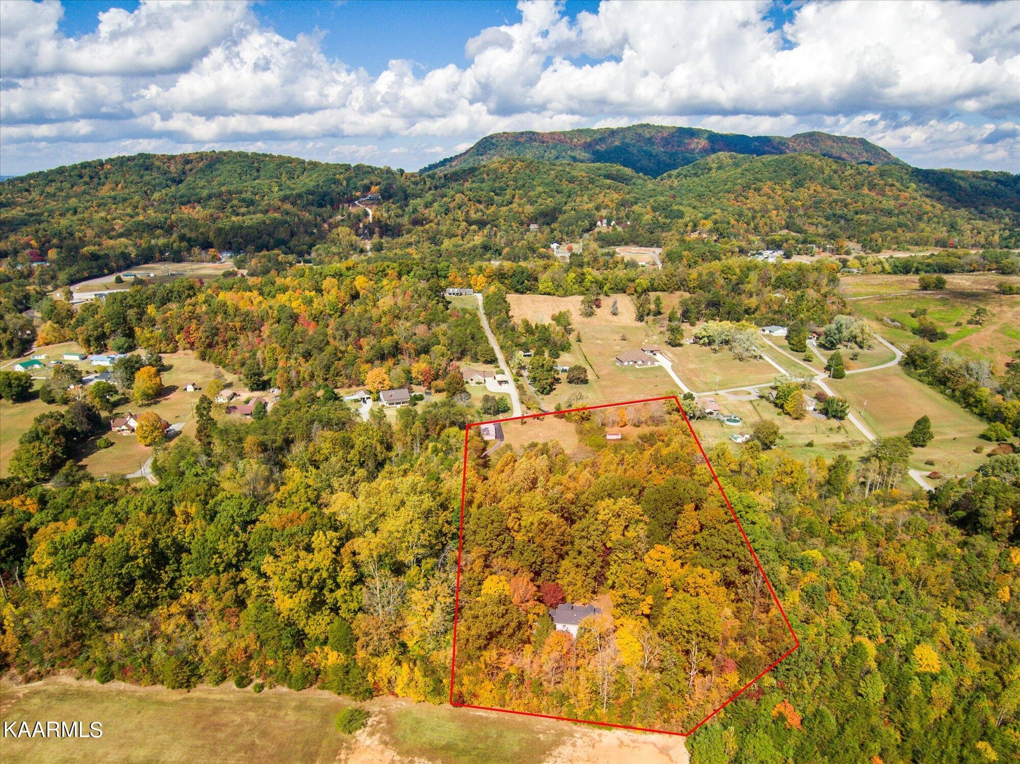 9308 Cameron Road Mascot, TN 37806 - Photo 43 of 51