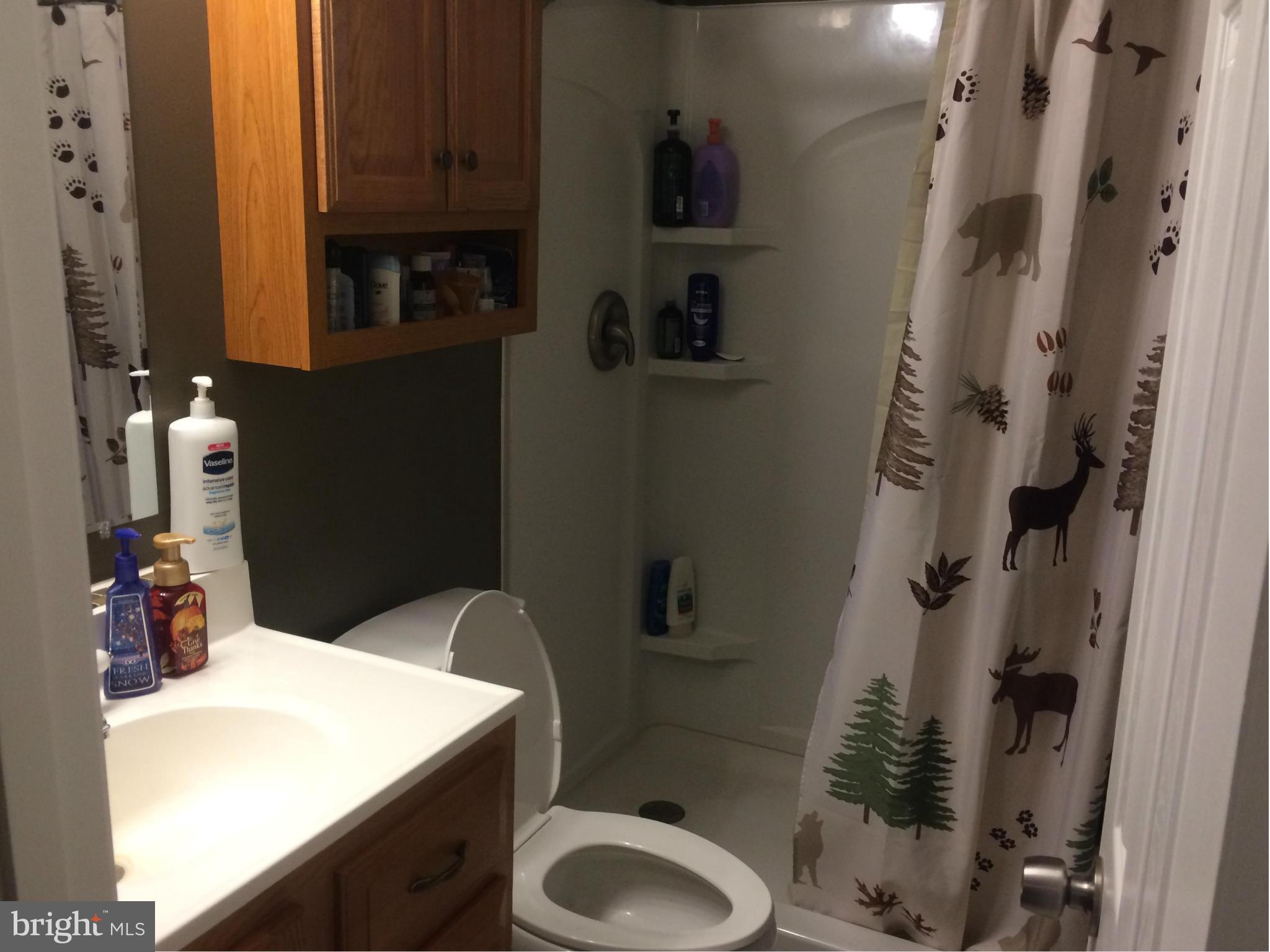 166 North Cottage Road Sterling, VA 20164 - Photo 12 of 12 Bath (Master)