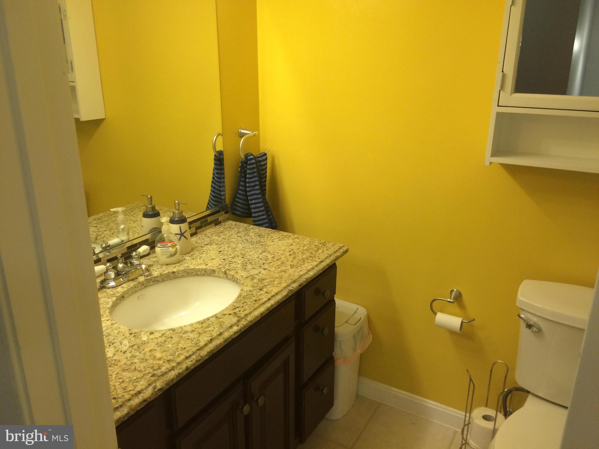 166 North Cottage Road Sterling, VA 20164 - Photo 10 of 12 Bath