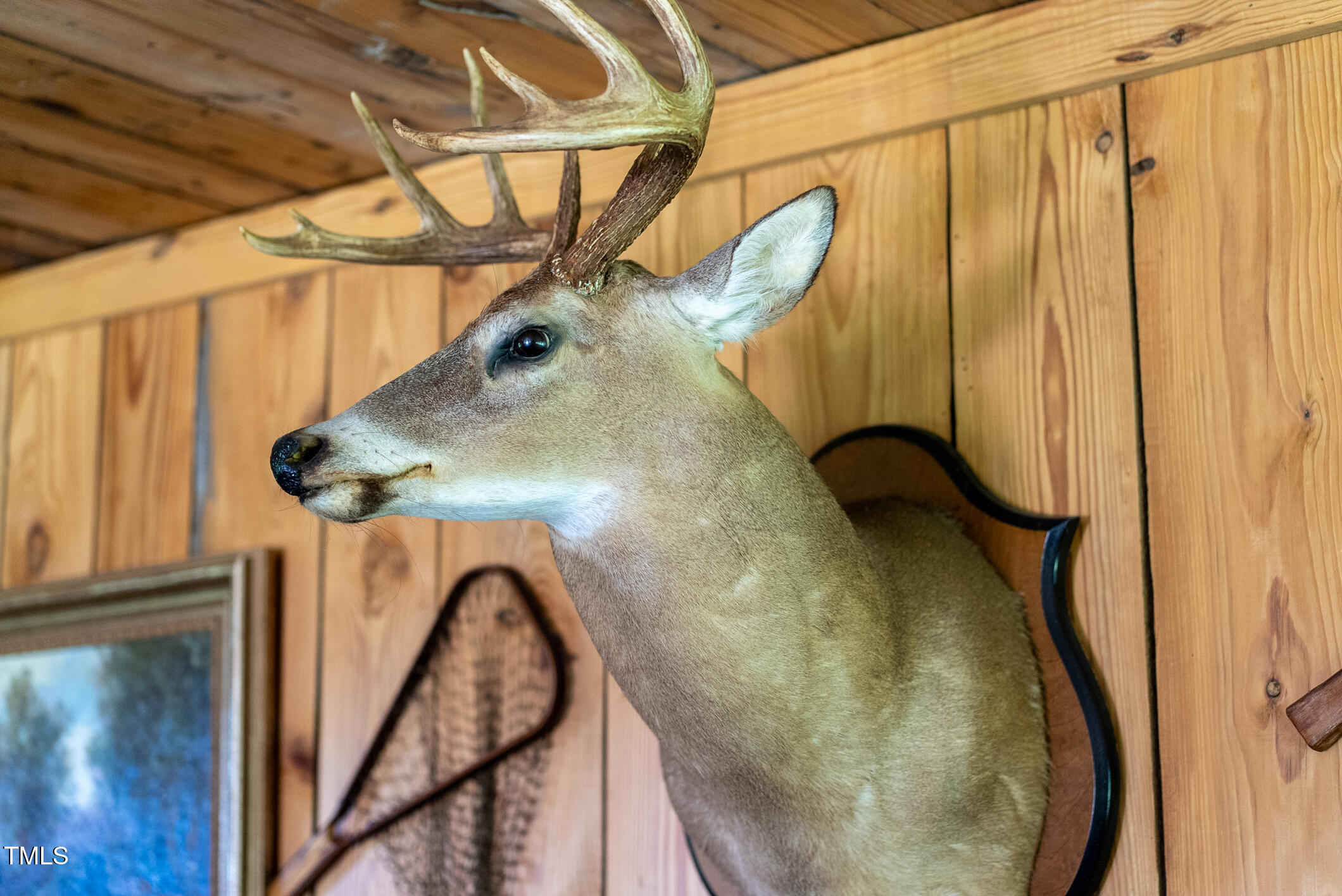 1215 Single Tree Road Westfield, NC 27053 - Photo 33 of 95 Singletree-33