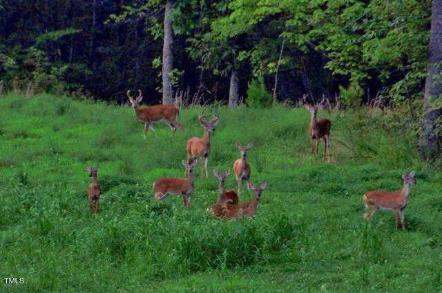 $1,174,000 | 1215 Single Tree Road, Westfield, NC 27053