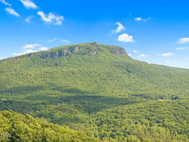 $1,174,000 | 1215 Single Tree Road, Westfield, NC 27053