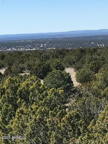 a view of city and mountain
