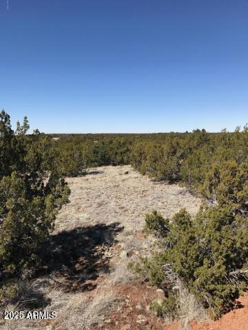 Lot 20 Idlewild Ranch, Unit 20 Concho, AZ 85924 - Photo 2 of 8 a view of lake view and mountain
