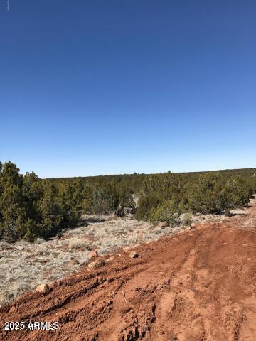 Lot 20 Idlewild Ranch, Unit 20 Concho, AZ 85924 - Photo 3 of 8 a view of ocean view with beach