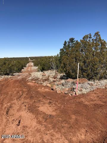 Lot 20 Idlewild Ranch, Unit 20 Concho, AZ 85924 - Photo 4 of 8 a view of a field with a tree in the background