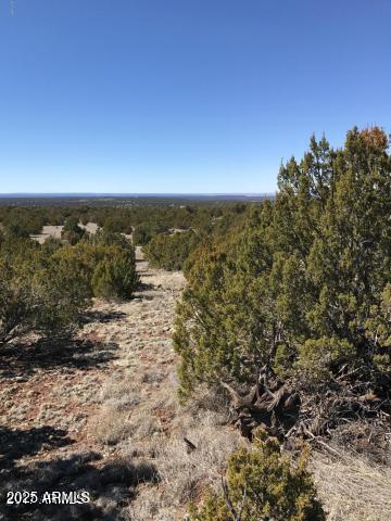 Lot 20 Idlewild Ranch, Unit 20 Concho, AZ 85924 - Photo 5 of 8 a view of houses with sky view