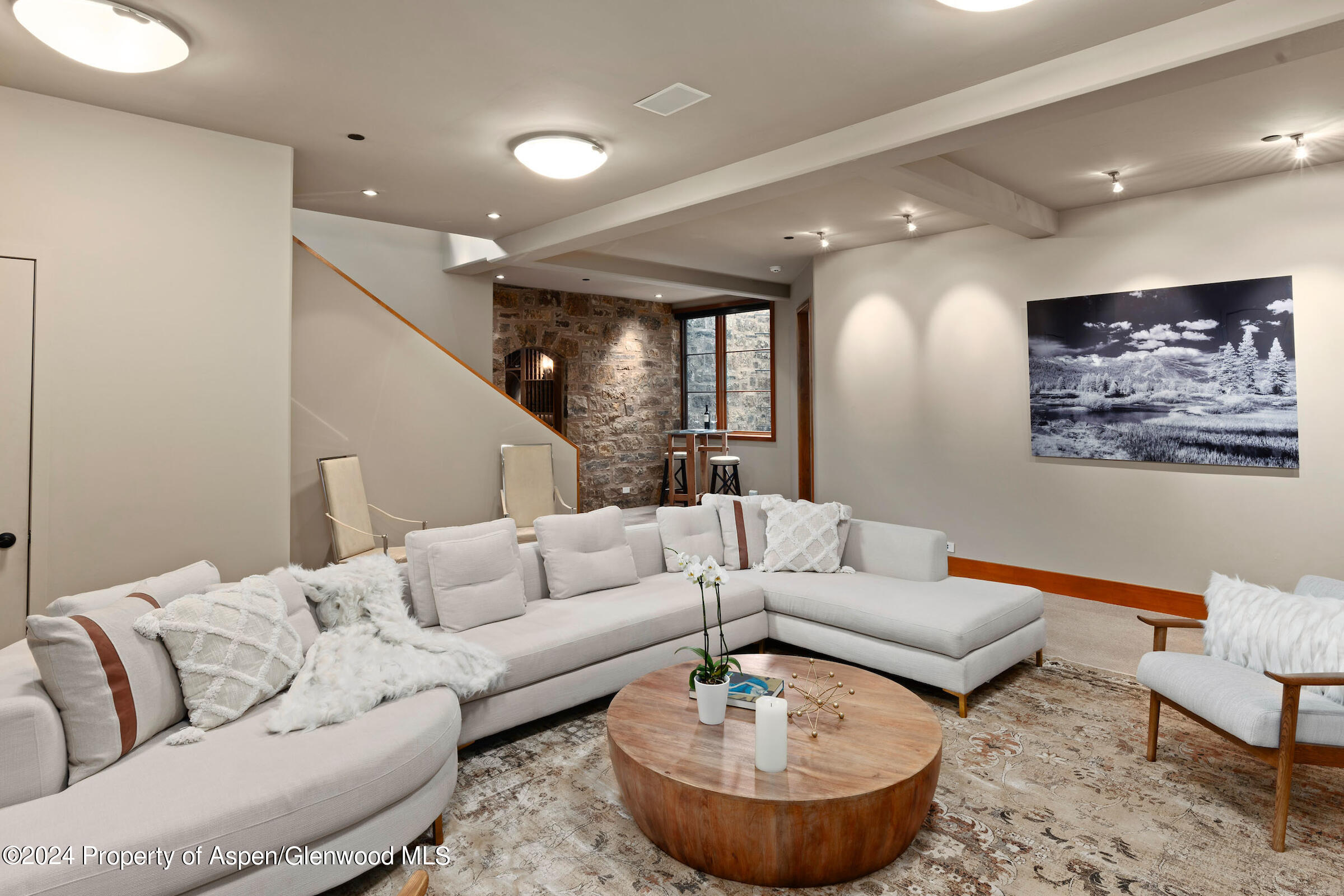 2005 Watson Divide Road Snowmass, CO 81654 - Photo 32 of 56 Media Room