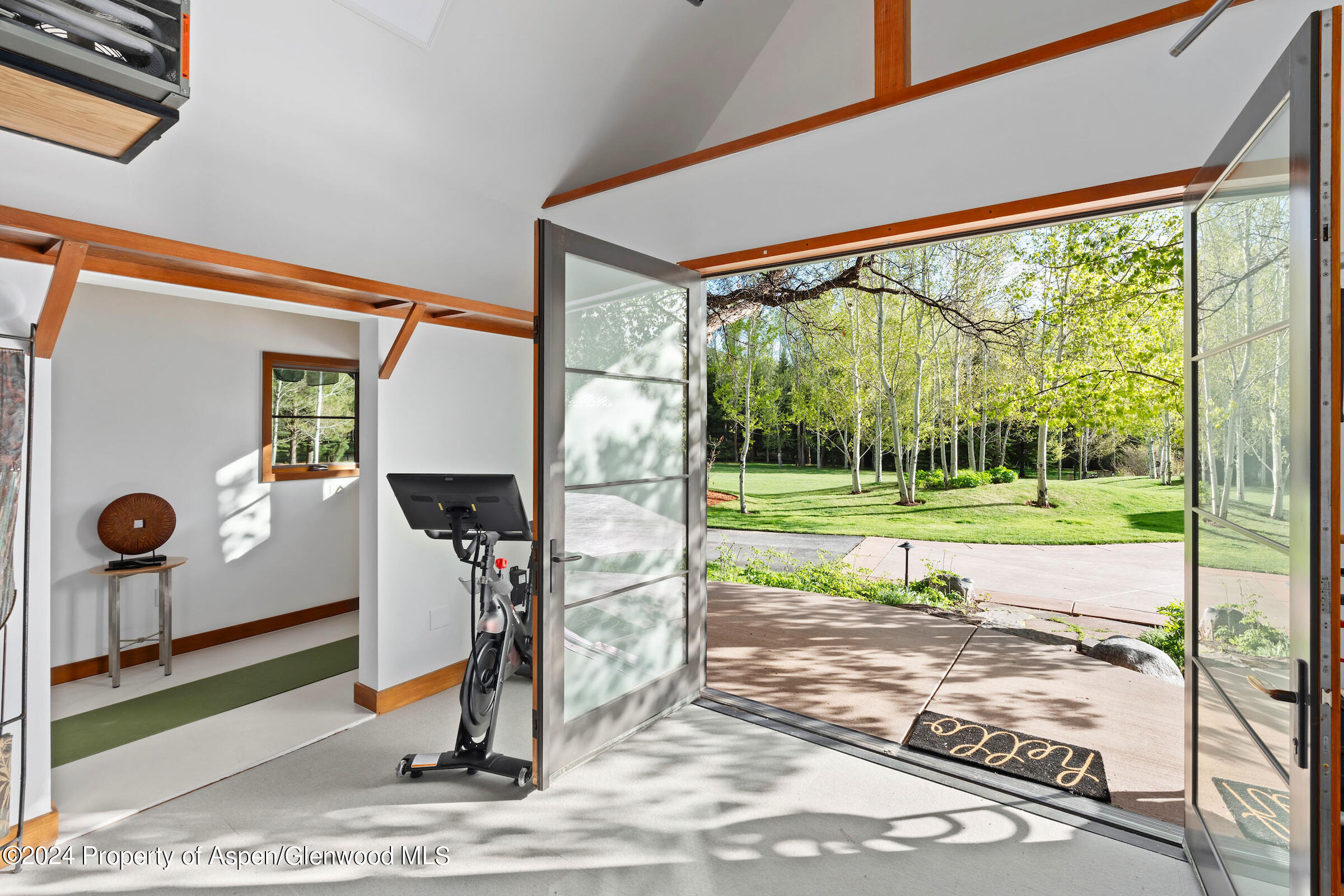 2005 Watson Divide Road Snowmass, CO 81654 - Photo 41 of 56 Freestanding Exercise Studio