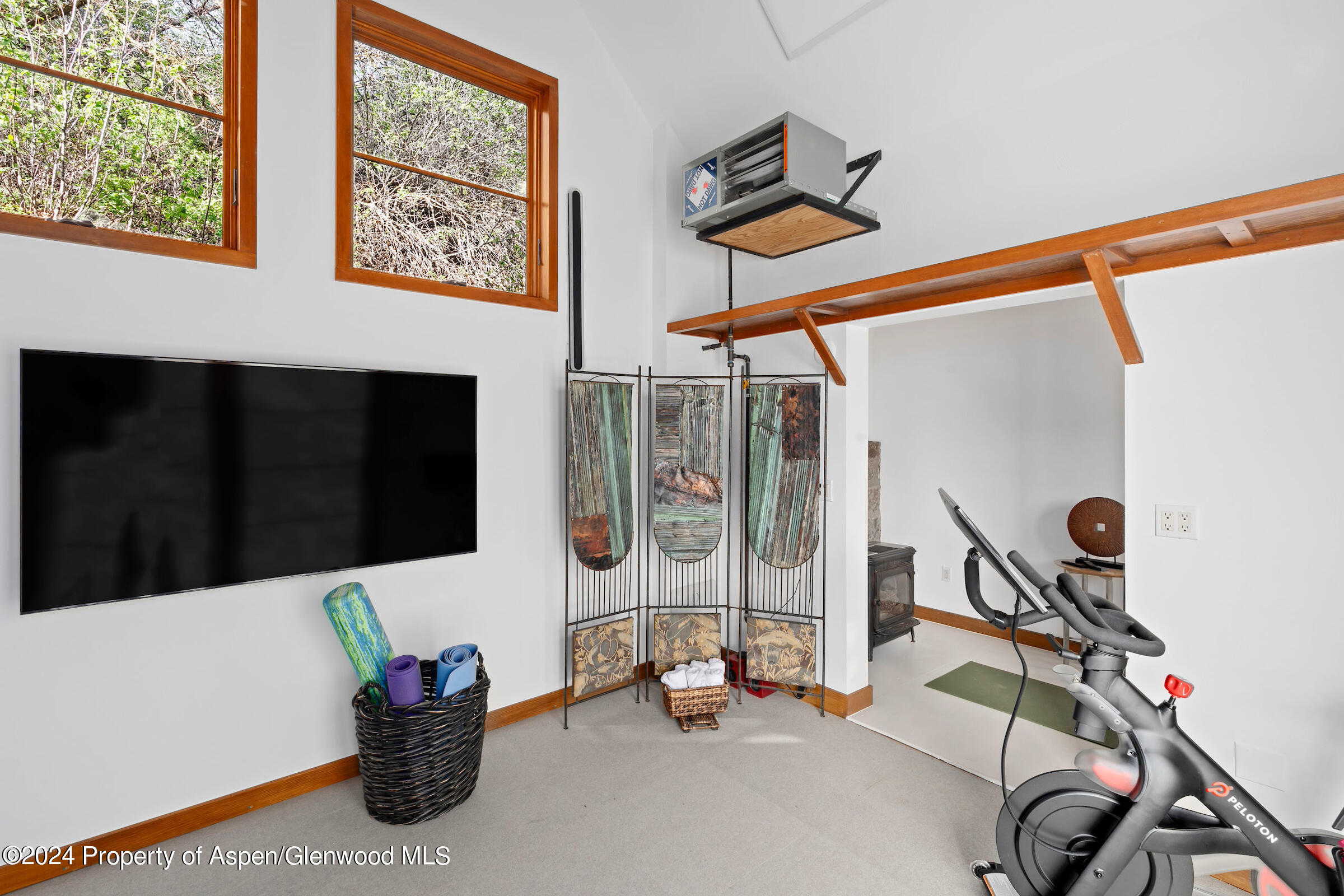 2005 Watson Divide Road Snowmass, CO 81654 - Photo 42 of 56 Freestanding Studio