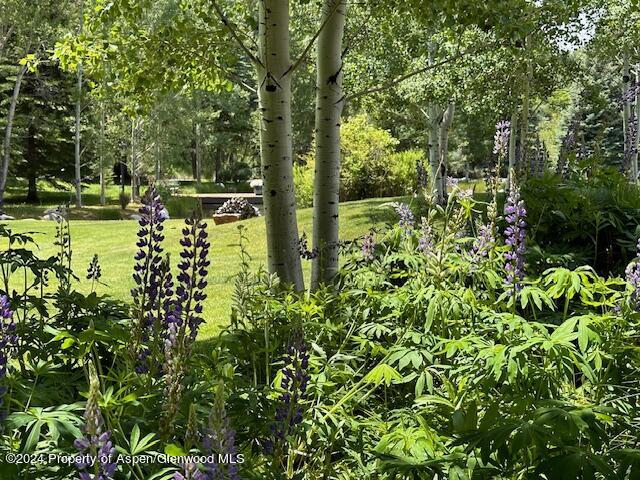 2005 Watson Divide Road Snowmass, CO 81654 - Photo 47 of 56 Gardens