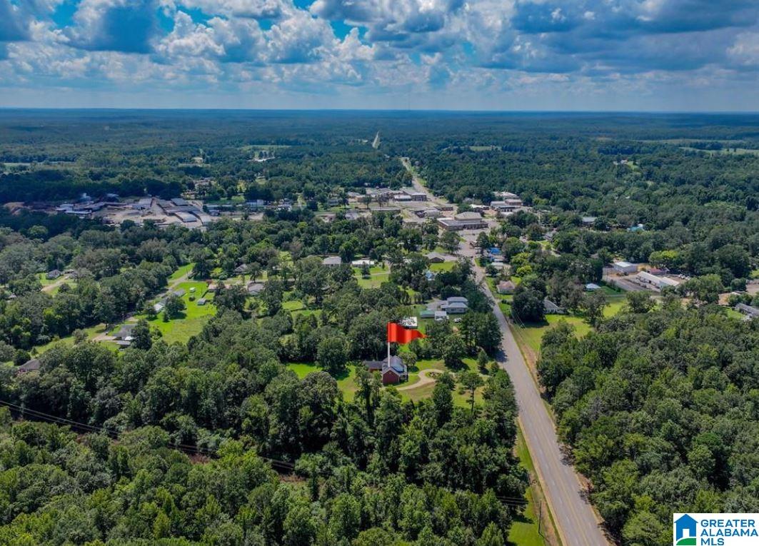 430 Highway 17 Carrollton, AL 35447 - Photo 14 of 67