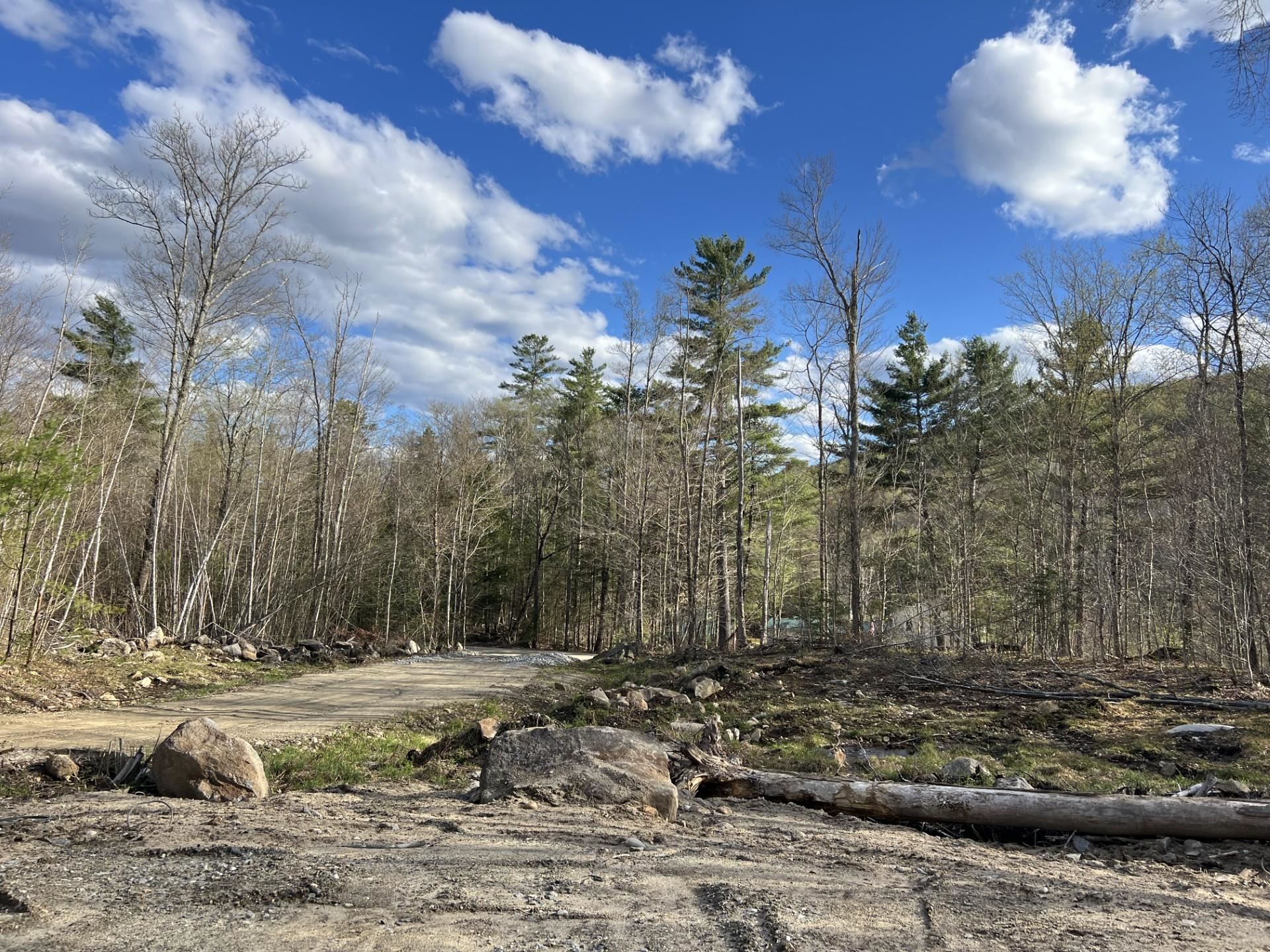 244 Rowentown Road, Unit LOT #1 Wentworth, NH 03282 - Photo 2 of 6