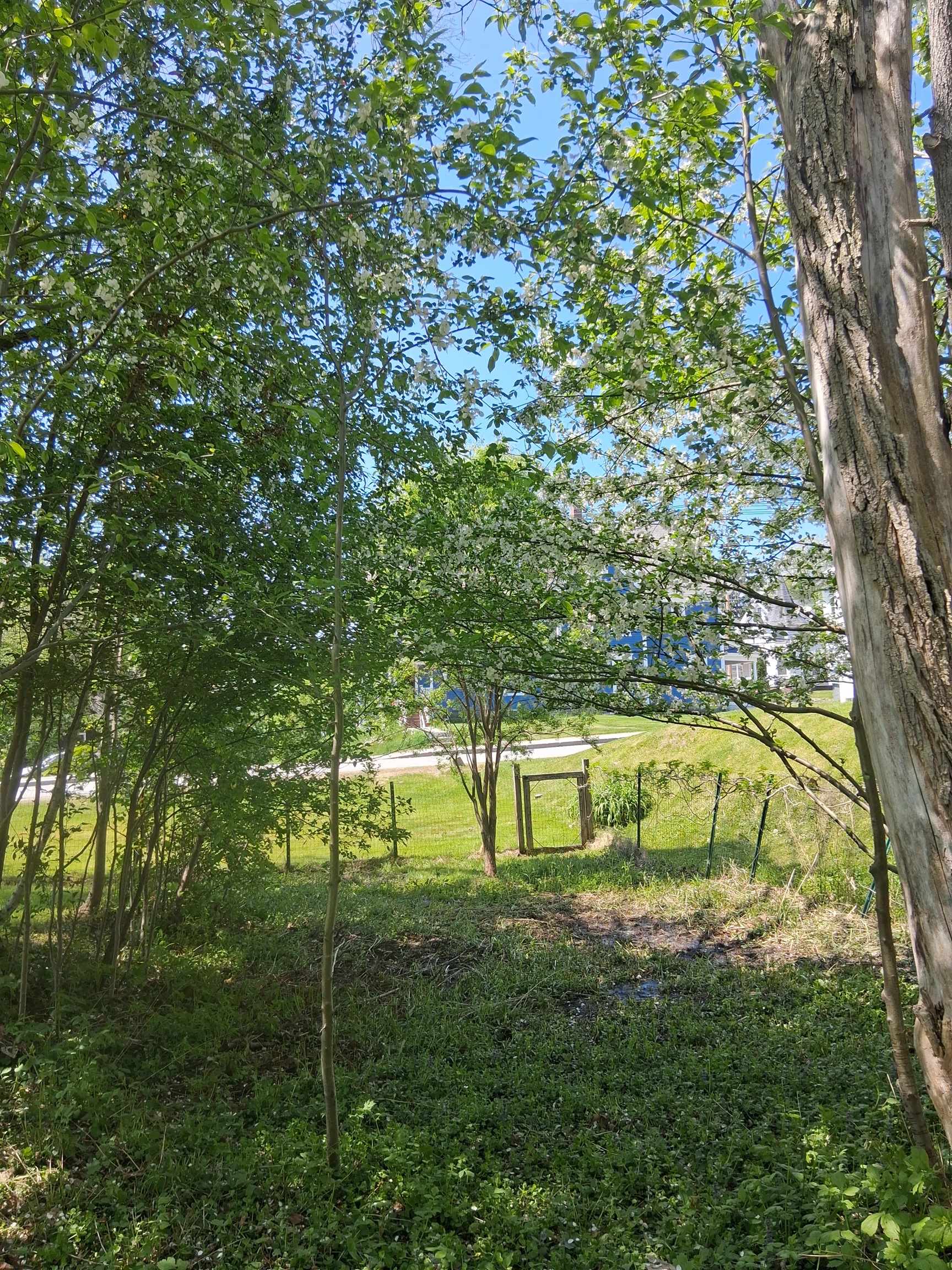 30 Cross Street Littleton, NH 03561 - Photo 26 of 30