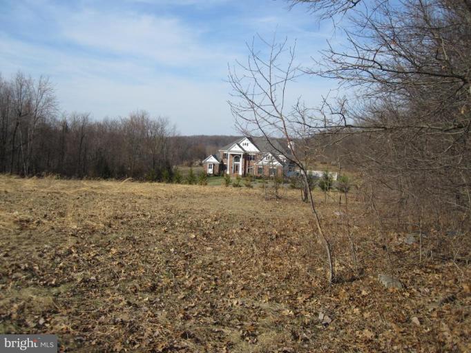 14410 Peddicord Road Mount Airy, MD 21771 - Photo 6 of 13 Exterior #4