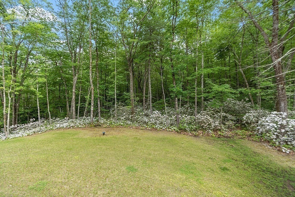 83 Russell Hill Road Brookline, NH 03033 - Photo 34 of 42 a view of a yard with plants and large trees
