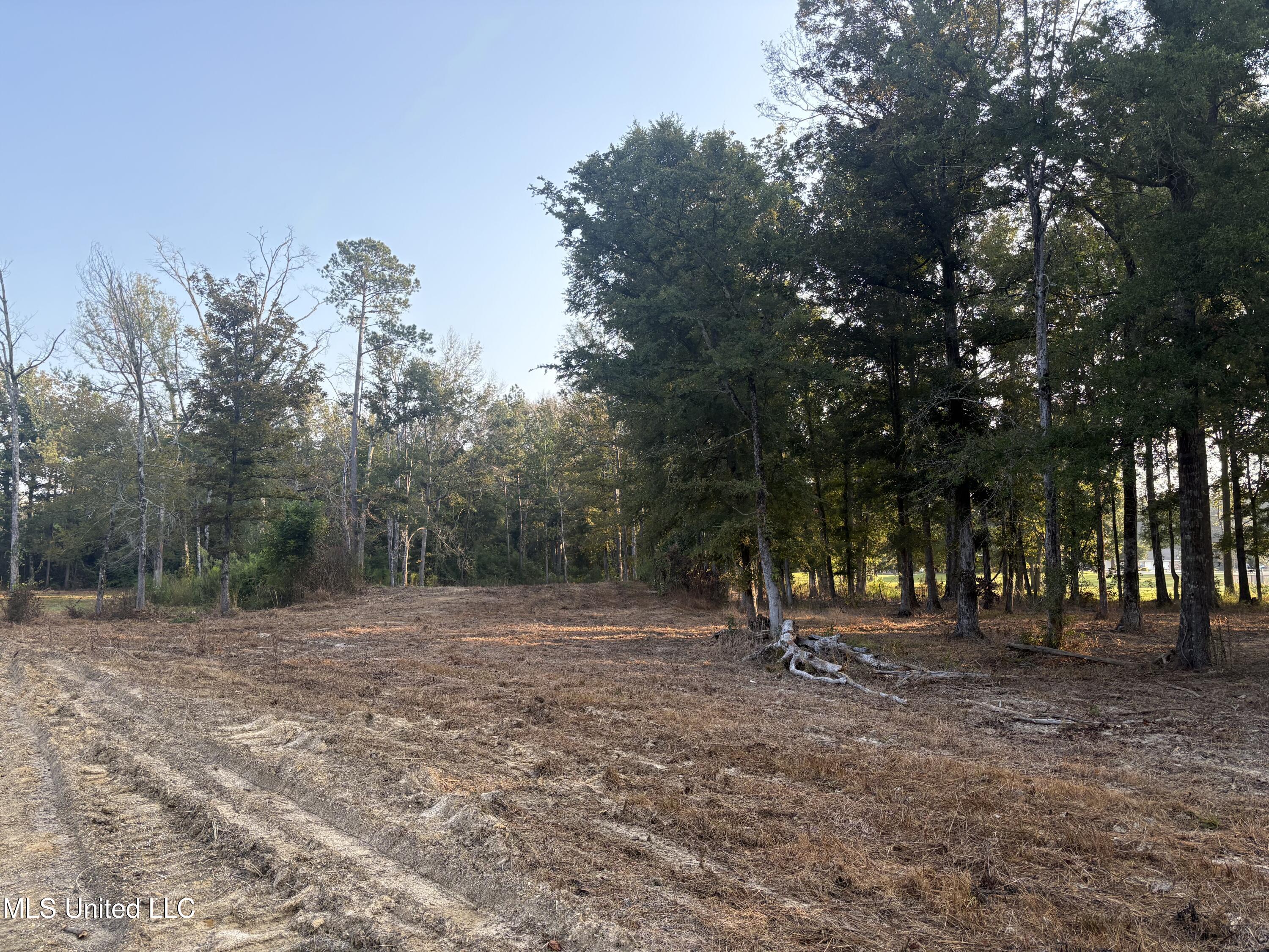 0 Highway 80 Forest, MS 39074 - Photo 3 of 3 IMG_0722