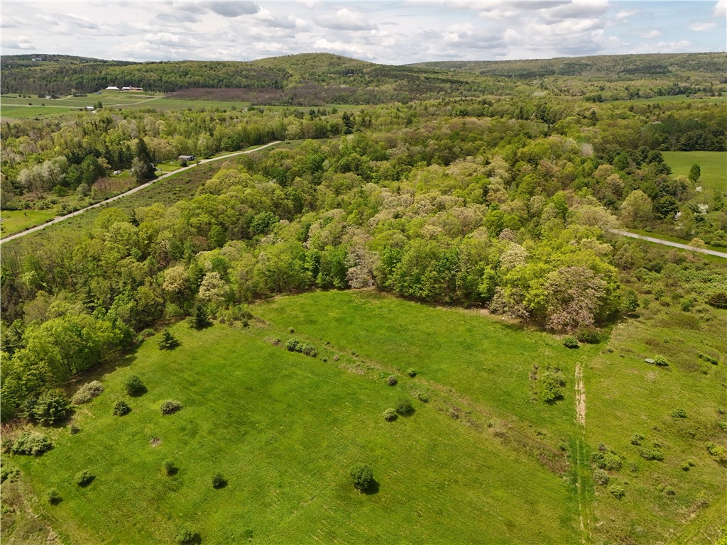 0 Middle Road Hammondsport, NY 14840 - Photo 17 of 20