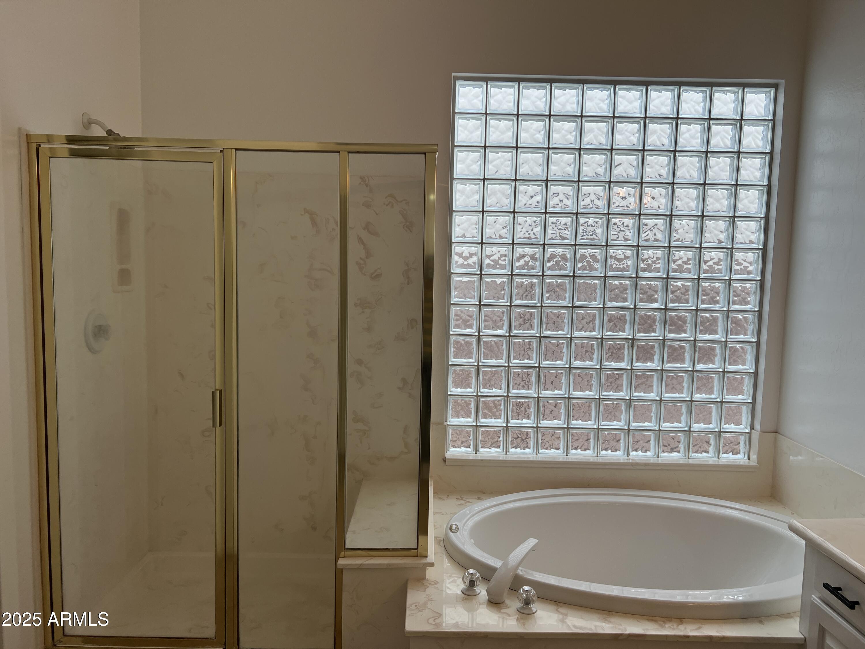 4484 East Redfield Court Gilbert, AZ 85234 - Photo 19 of 25 a bath tub sitting next to a window