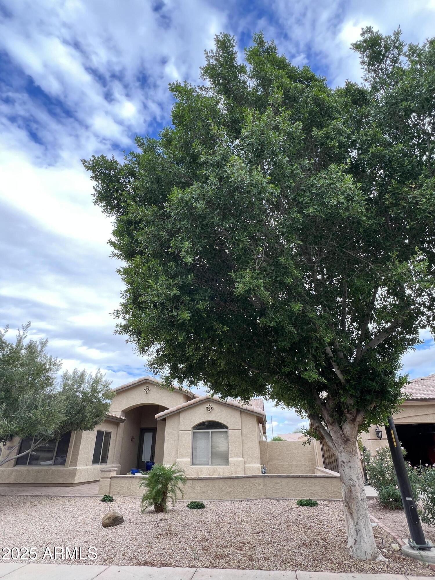 4484 East Redfield Court Gilbert, AZ 85234 - Photo 3 of 25 a front view of a house with garden