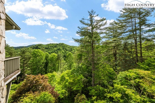 306 South Turkey Ridge Crumpler, NC 28617 - Photo 13 of 33