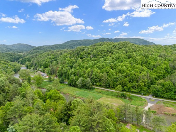 306 South Turkey Ridge Crumpler, NC 28617 - Photo 10 of 33