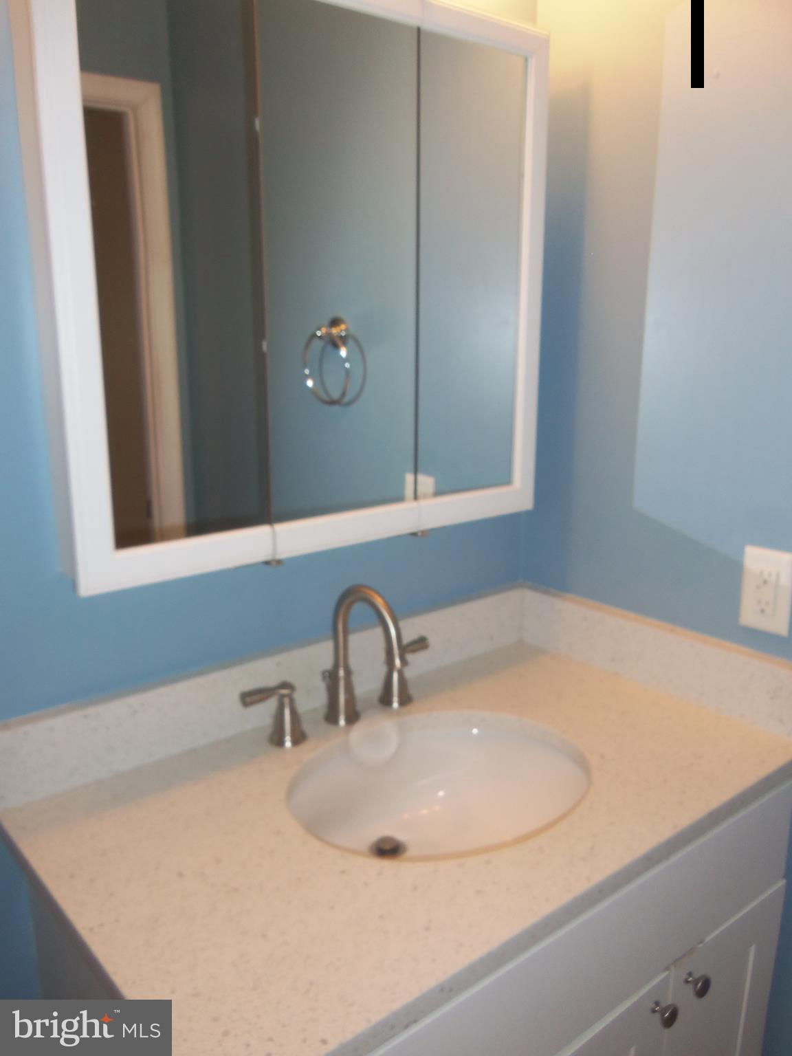 15217 Tottenham Terrace, Unit 27B Silver Spring, MD 20906 - Photo 16 of 46 Master bathroom