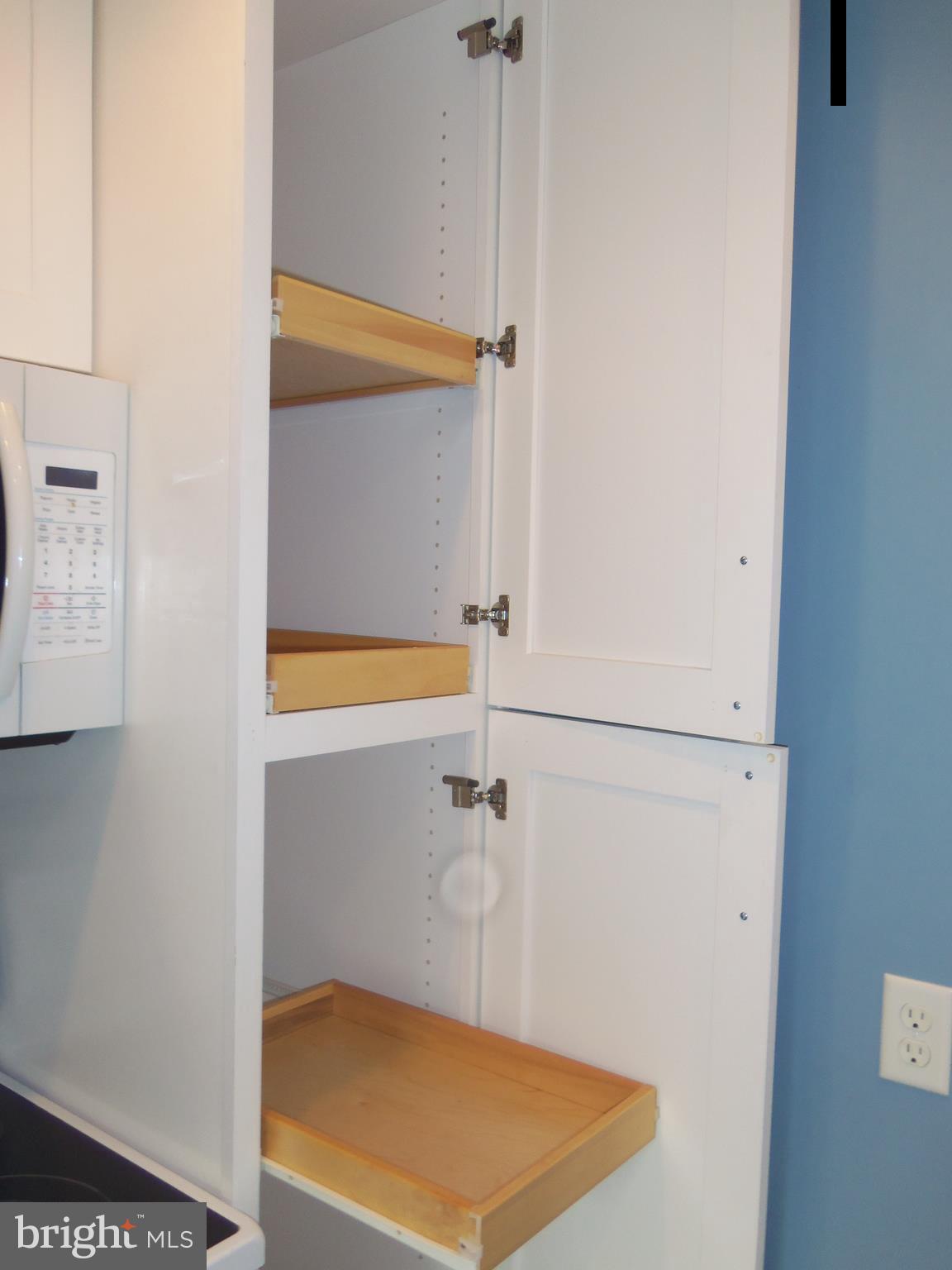 15217 Tottenham Terrace, Unit 27B Silver Spring, MD 20906 - Photo 8 of 46 Pull out drawers in kitchen